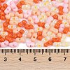 Glass Seed Beads X1-SEED-K010-03N-4