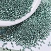 MIYUKI Delica Beads SEED-MY11-DB0416-1