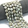 Natural Sesame Jasper Beads Strands G-C116-A141-01-1