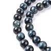 Natural Tiger Eye Beads Strands G-G448-10mm-19AB+-2