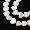 Natural Freshwater Shell Beads Strands SHEL-N026-220A-3