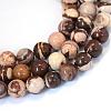 Natural Zebra Jasper Round Bead Strands G-E334-4mm-12-1