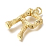 Rack Plating Brass Pendants KK-I721-01G-R-2