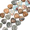 Gradient Color Synthetic Shoushan Stone & Natural Labradorite & Picture Jasper & Peace Jade & Chinese Southern Jade Beads Strands G-B185-A09-3