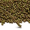 TOHO 6/0 Round Beads X-SEED-TR06-1209-2
