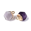 Natural Amethyst Pendants G-N359-18G-05-2