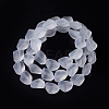 Transparent Frosted Glass Beads Strands FGLA-S001-02F-2