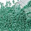 TOHO 11/0 Round Beads X-SEED-TR11-PF0561-1