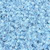 FGB Grade A Transparent Glass Seed Beads SEED-Q040-03A-01-4