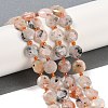 Natural Sunstone Beads Strands G-C116-A69-01-1