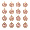 Golden Plated Alloy Enamel Charms ENAM-S118-07C-2