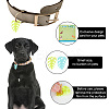Transparent Blank Acrylic Pet Dog ID Tag PALLOY-AB00042-5