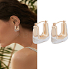 1 Pair Alloy with Resin Hoop Earrings for Women EJEW-LP0004-71B-1