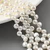 Natural Cultured Freshwater Pearl Beads Strands PEAR-A006-20-2