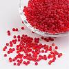 8/0 Frosted Round Glass Seed Beads X-SEED-A008-3mm-M5-1