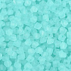 FGB Frosted Transparent Glass Seed Beads SEED-N013-03A-10-3