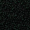 MIYUKI Round Rocailles Beads SEED-X0055-RR0156F-3