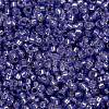 MIYUKI Round Rocailles Beads X-SEED-G009-RR0649-4