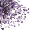 Natural Amethyst Chip Beads G-L453-06-4