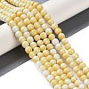 Baking Paint Glass Bead Strands GLAA-H031-01A-03-2