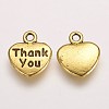 Tibetan Style Alloy Charms X-TIBEP-A15913-AG-RS-2