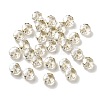 Electroplate Glass Beads EGLA-A043-03-PL01-1