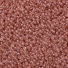 MIYUKI Round Rocailles Beads X-SEED-G007-RR3507-3