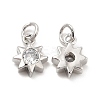 Brass Micro Pave Cubic Zirconia Charms KK-E068-VB237-1
