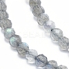 Natural Labradorite Beads Strands G-D0003-E86-4MM-3