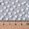 Frosted Glass Seed Beads SEED-N012-01B-4