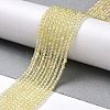 Electroplate Transparent Glass Beads Strands GLAA-H021-01A-FR04-3