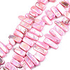 Natural Freshwater Shell Beads Strands X-SHEL-N026-123B-1