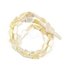 Natural Trochus Shell Beads Strands BSHE-H109-05-3