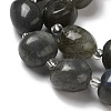Natural Larvikite Beads Strands G-Q169-E05-01-4
