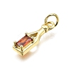 Brass Micro Pave Cubic Zirconia Pendants KK-Z100-21G-01-2
