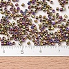 MIYUKI Delica Beads Small SEED-X0054-DBS0029-4