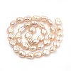 Natural Baroque Pearl Keshi Pearl Beads Strands PEAR-S012-70B-2