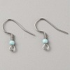 304 Stainless Steel Earring Hooks LS-STAS-WH0027-64P-07-1