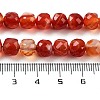 Natural Agate Dyed Beads Strands G-H028-A08-02-5