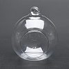 Transparent Wall Hanging Glass Ball Planter Terrarium Container Vase DIY-L047-01-1