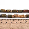Natural Picasso Jasper/Polychrome Jasper Beads Strands G-N346-03A-05-5
