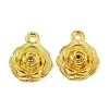 Alloy Pendants FIND-G065-14G-1