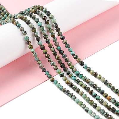Natural African Turquoise(Jasper) Beads Strands LS-G-F717-01-1