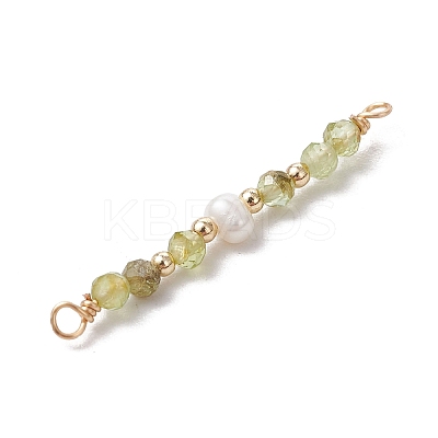 12Pcs 12 Styles Faceted Round Natural Mixed Stone Beaded Connector Charms PALLOY-JF03557-1