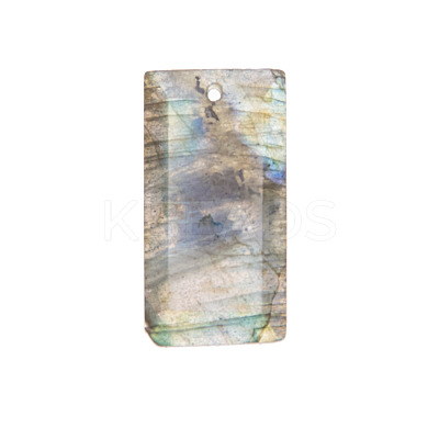 Natural Labradorite Pendants PW-WG07E98-05-1