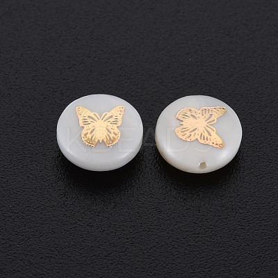 Natural Freshwater Shell Beads SHEL-S278-060-1