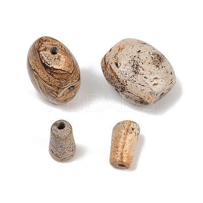Natural Picture Jasper 3 Hole Guru Beads G-F795-G01-1