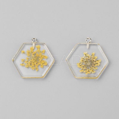 Transparent Clear Resin Pendants RESI-TAC0007-07D-1