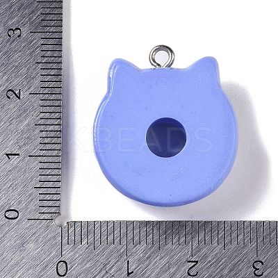 Opaque Resin Imitation Food Pendants RESI-S403-01E-1