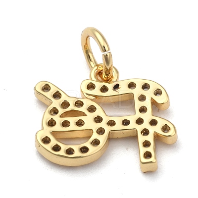 Brass Micro Pave Clear Cubic Zirconia Charms ZIRC-A013-24G-1